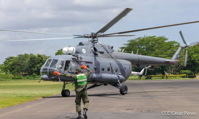 aerea